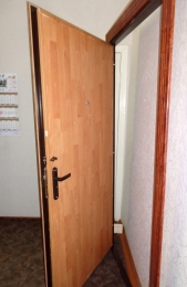 Дверь входная с МДФ-панелью и ламинатом