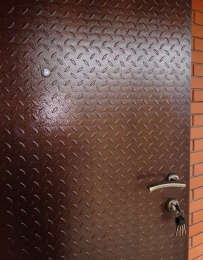 Порошковое покрытие металлической двери