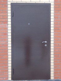 Дверь входная металлическая (чечевица)